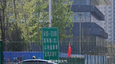 飞絮预警!北京杨柳絮飘飞似四月飞雪 飞絮预警!北京杨柳絮飘飞似四月飞雪