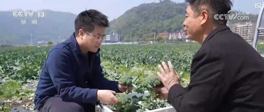 春季农田新景象:“一分田”开出多种“花” 特色农业“种”出新希望 春季农田新景象:“一分田”开出多种“花” 特色农业“种”出新希望