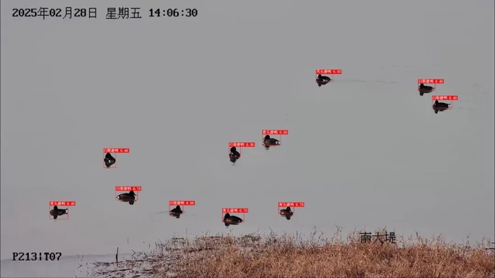@李现，欢迎来无锡“打鸟”！