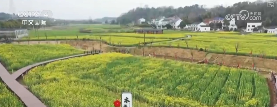 消费旺、出游火,新热点频出!清明假日春游经济有“颜值”有“产值” 消费旺、出游火,新热点频出!清明假日春游经济有“颜值”有“产值”