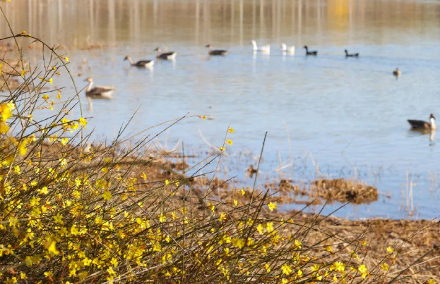 演员“打鸟”获官方认可 多地文旅喊话“‘打鸟’来我家!” 演员“打鸟”获官方认可 多地文旅喊话“‘打鸟’来我家!”
