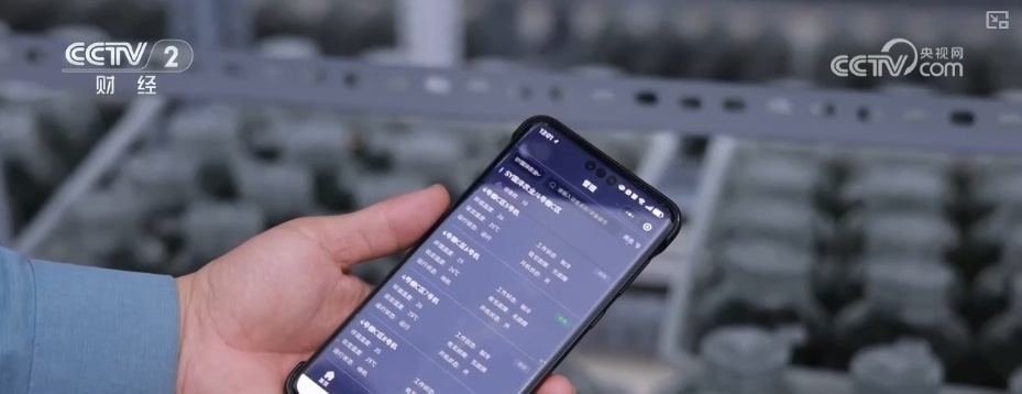 延长花期、定时开花 “鲜花经济”向“智”追“新”满是科技范儿 延长花期、定时开花 “鲜花经济”向“智”追“新”满是科技范儿