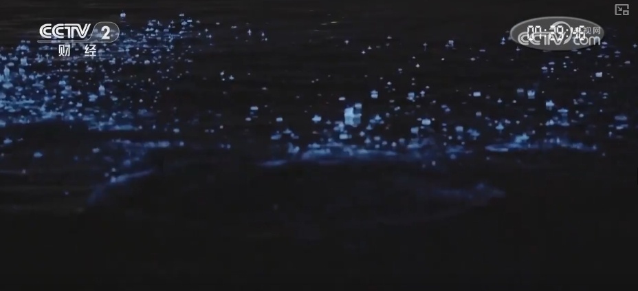 清明假期中短途出行需求旺盛 坐着赏花专列饱览春日美景 清明假期中短途出行需求旺盛 坐着赏花专列饱览春日美景