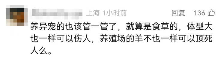 上海市中心突现出逃羊驼,30多人联合追捕 上海市中心突现出逃羊驼,30多人联合追捕
