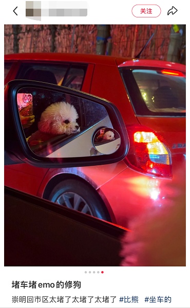 上海驾驶员抓狂：半夜还堵在路上！高峰将持续至明天凌晨！地铁最新通知