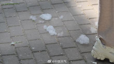 飞絮预警!北京杨柳絮飘飞似四月飞雪 飞絮预警!北京杨柳絮飘飞似四月飞雪
