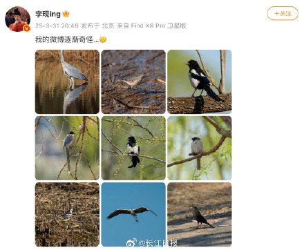 “花鸟使”李现获生态环境部点赞 “花鸟使”李现获生态环境部点赞