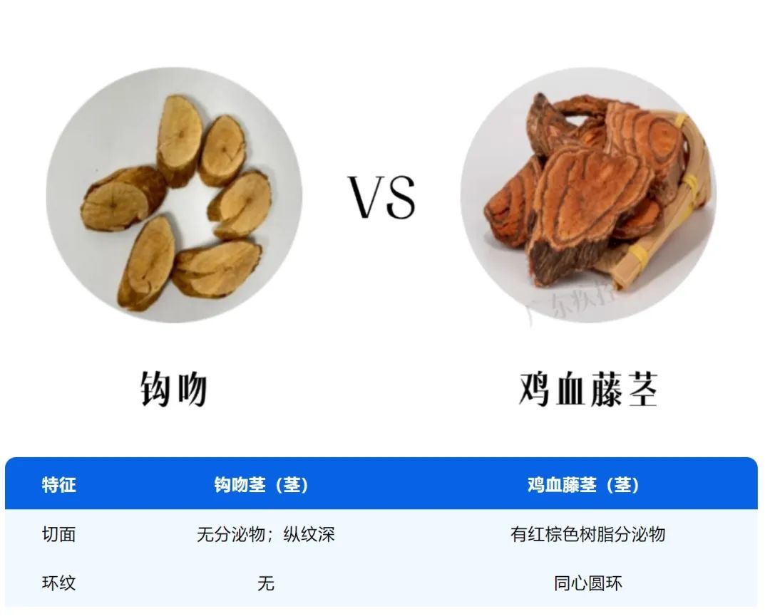 广东山上常有，千万别吃！