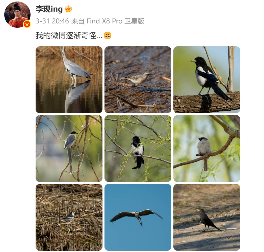 生态环境部，点名李现！
