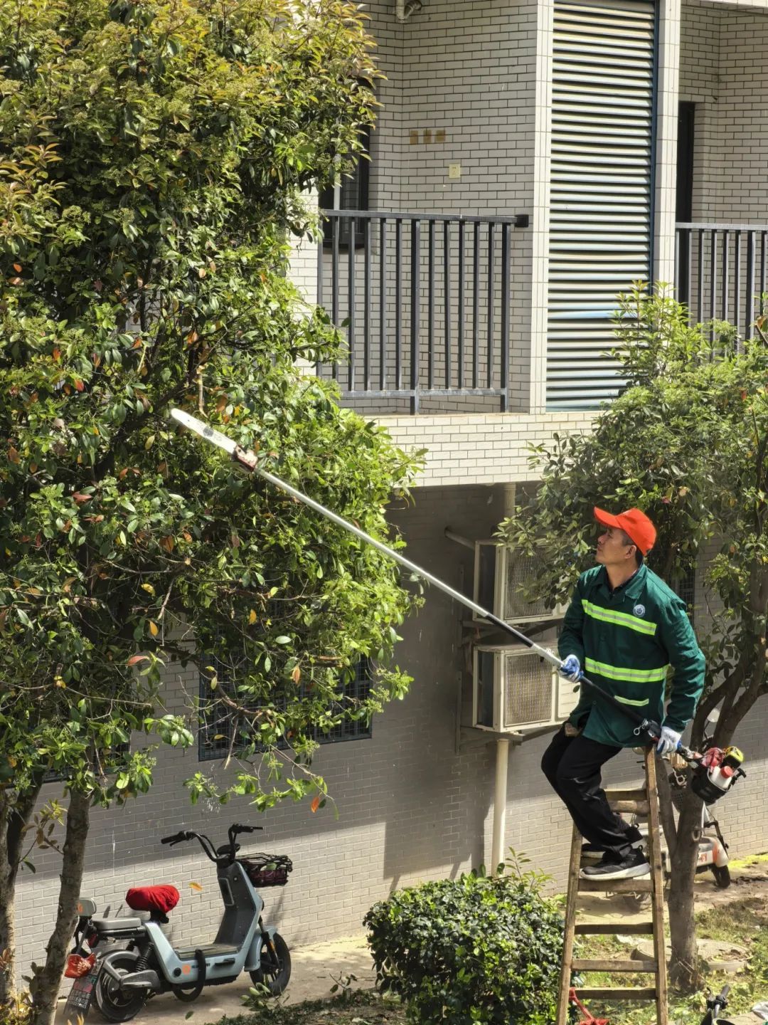 异味太大?武汉高校纷纷出手 异味太大?武汉高校纷纷出手