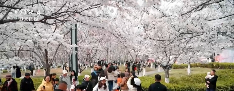 消费旺、出游火,新热点频出!清明假日春游经济有“颜值”有“产值” 消费旺、出游火,新热点频出!清明假日春游经济有“颜值”有“产值”