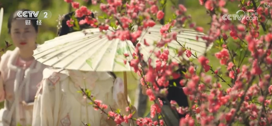 延长花期、定时开花 “鲜花经济”向“智”追“新”满是科技范儿 延长花期、定时开花 “鲜花经济”向“智”追“新”满是科技范儿