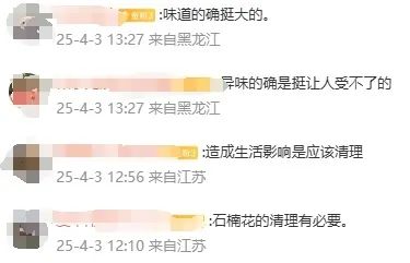 异味太大?武汉高校纷纷出手 异味太大?武汉高校纷纷出手