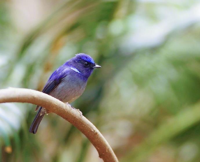 演员“打鸟”获官方认可 多地文旅喊话“‘打鸟’来我家!” 演员“打鸟”获官方认可 多地文旅喊话“‘打鸟’来我家!”
