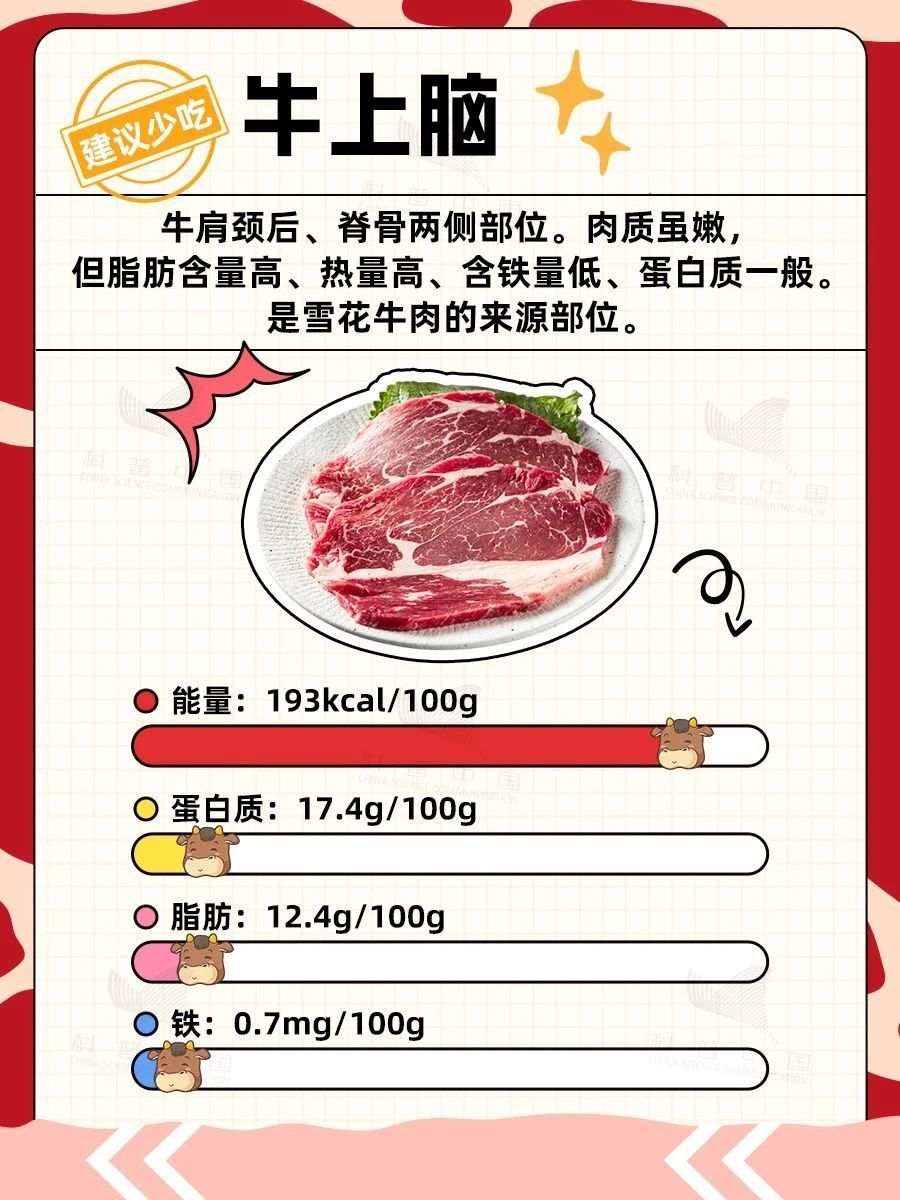 牛肉,你吃对了吗?这些部位,宁愿扔了也别吃 牛肉,你吃对了吗?这些部位,宁愿扔了也别吃