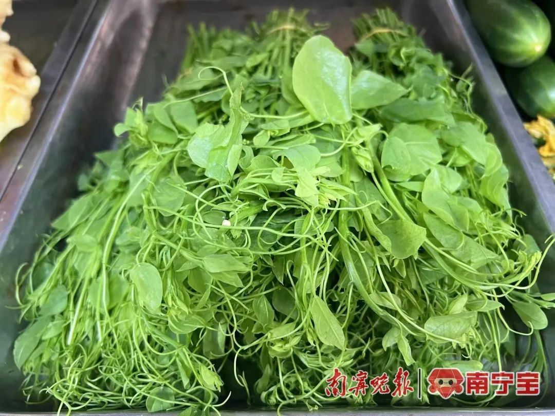 当前已进入高发期，记住这“4不吃”