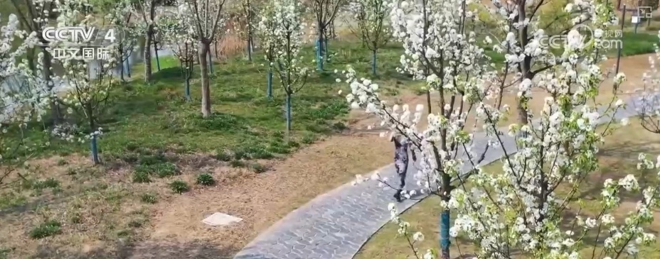 消费旺、出游火,新热点频出!清明假日春游经济有“颜值”有“产值” 消费旺、出游火,新热点频出!清明假日春游经济有“颜值”有“产值”