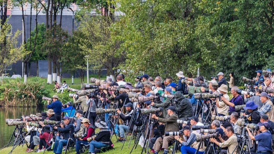 演员“打鸟”获官方认可 多地文旅喊话“‘打鸟’来我家!” 演员“打鸟”获官方认可 多地文旅喊话“‘打鸟’来我家!”