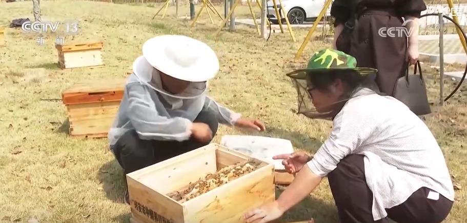春季农田新景象:“一分田”开出多种“花” 特色农业“种”出新希望 春季农田新景象:“一分田”开出多种“花” 特色农业“种”出新希望