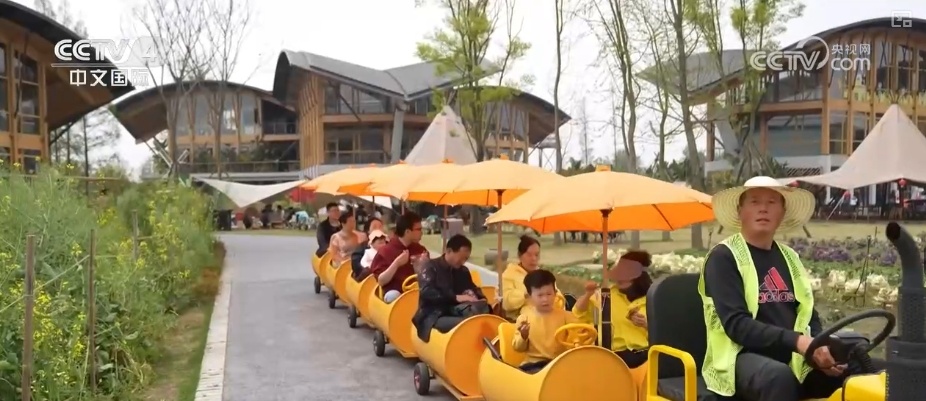 14.2%、16.3%、67.6%……“数”读消费市场持续升温 潜力加速释放