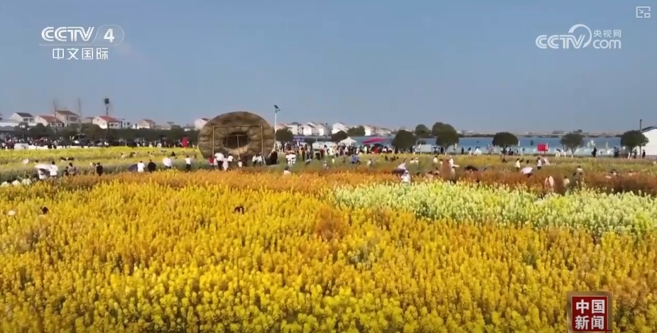 14.2%、16.3%、67.6%……“数”读消费市场持续升温 潜力加速释放