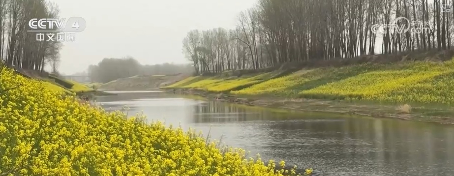 消费旺、出游火,新热点频出!清明假日春游经济有“颜值”有“产值” 消费旺、出游火,新热点频出!清明假日春游经济有“颜值”有“产值”