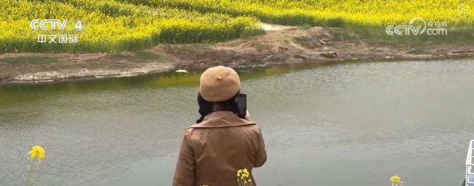 消费旺、出游火,新热点频出!清明假日春游经济有“颜值”有“产值” 消费旺、出游火,新热点频出!清明假日春游经济有“颜值”有“产值”