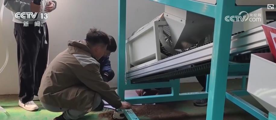 从手插秧到智能育秧：新科技赋能农业生产 “指尖种田”种出“万亩粮仓”