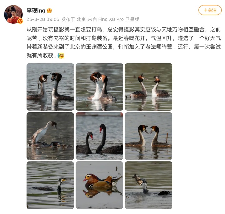 @李现，欢迎来无锡“打鸟”！