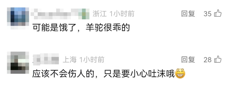 事发上海市中心！30多人联合追捕……