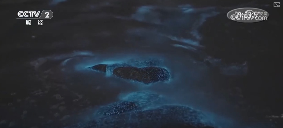 清明假期中短途出行需求旺盛 坐着赏花专列饱览春日美景 清明假期中短途出行需求旺盛 坐着赏花专列饱览春日美景