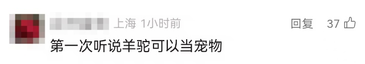 事发上海市中心！30多人联合追捕……