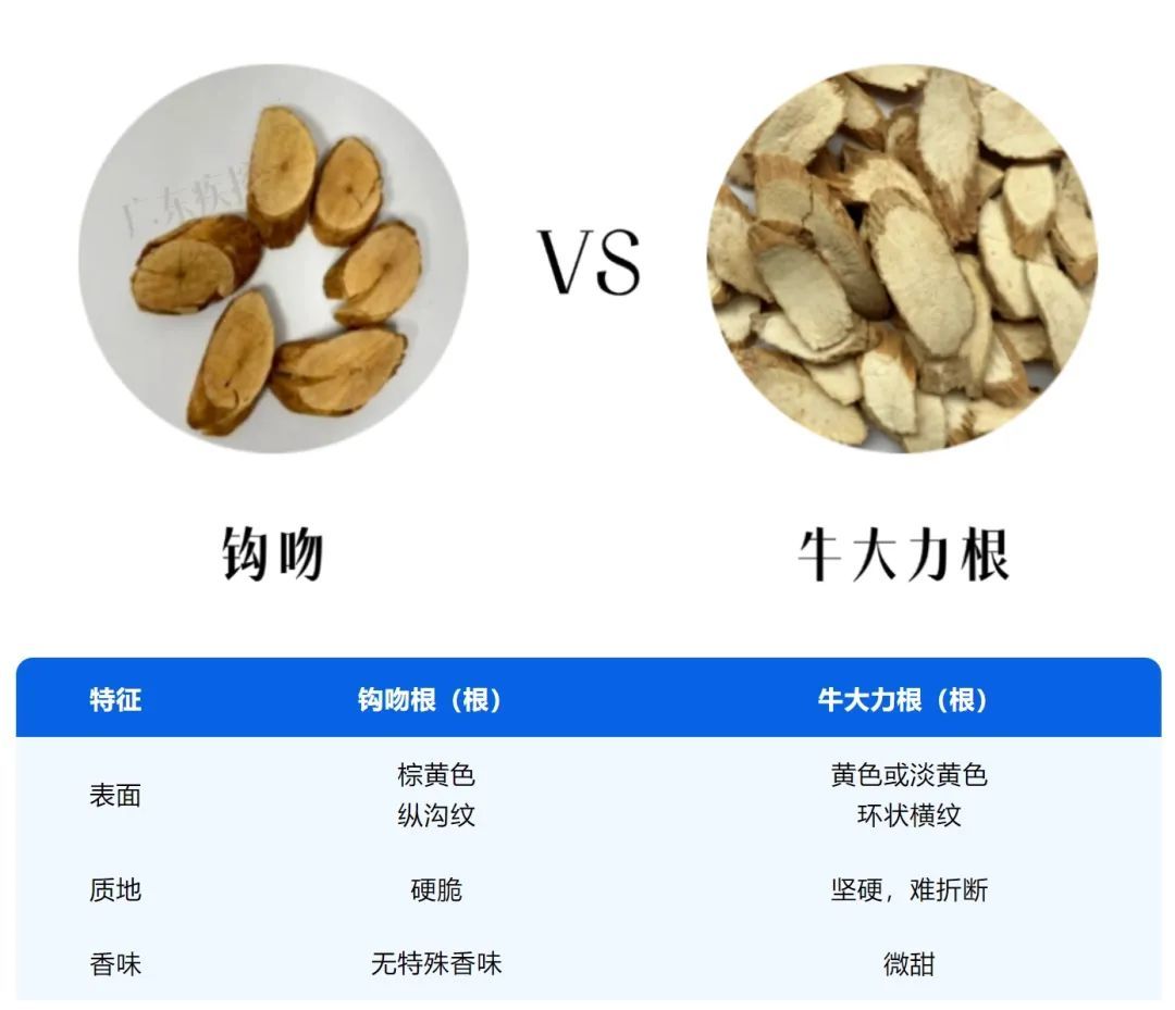 广东山上常有，千万别吃！
