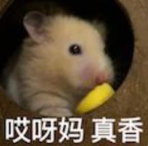 最近，真的劝你多吃韭菜！