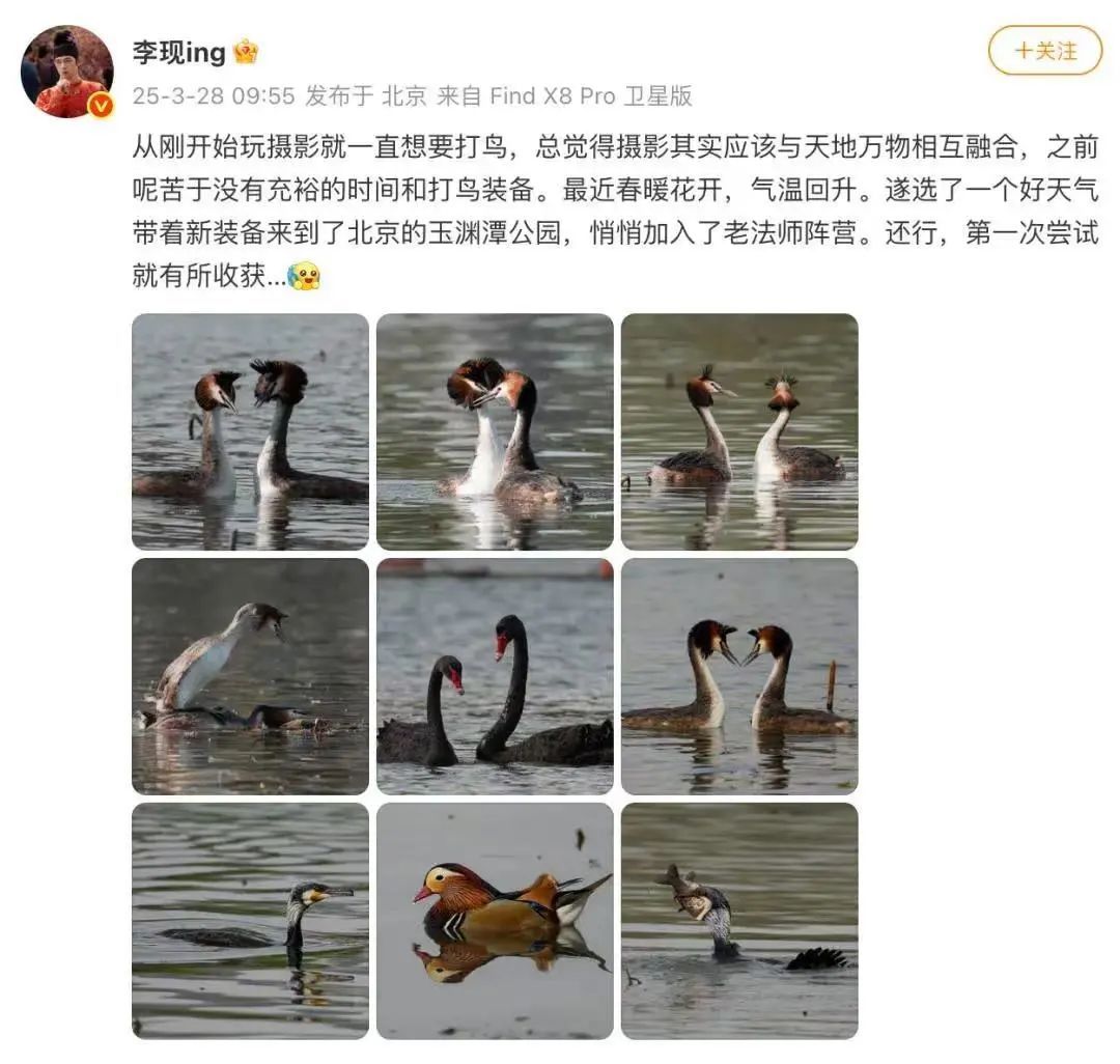 演员李现，突然被官方点名！