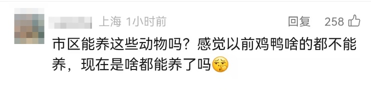 事发上海市中心！30多人联合追捕……