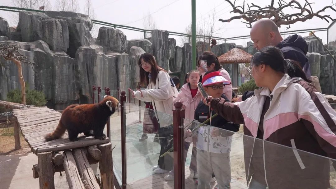 赏花 逛展 遛娃……多元体验带动消费热潮！兰州市民踏青悠游乐享假期