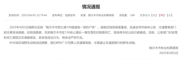 男子在路上发现雪豹尸体，周围有沾血脚印！官方通报