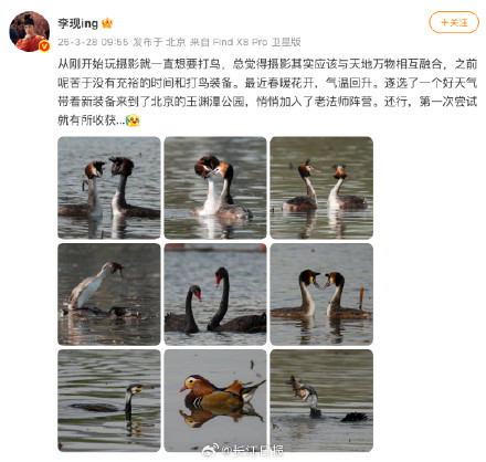 “花鸟使”李现获生态环境部点赞 “花鸟使”李现获生态环境部点赞