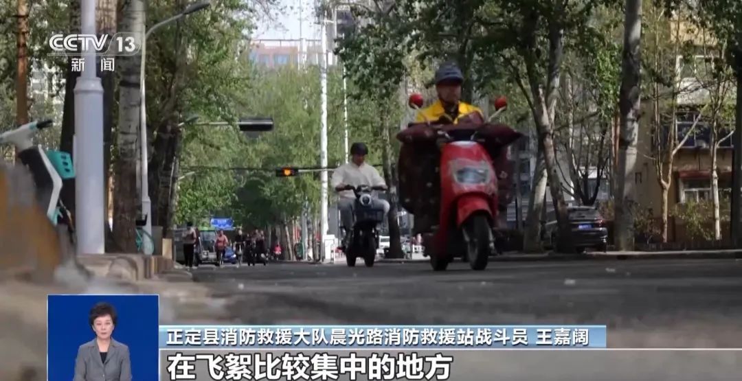 北方多地进入杨柳飞絮期，“过敏星人”请收好这份注意事项