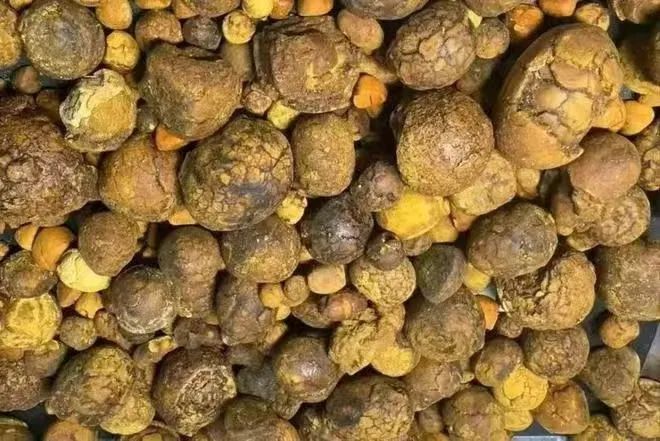 价值500万元，沈阳贵重药材失窃案侦破！