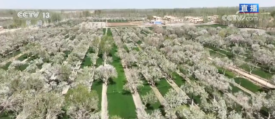 从“会种地”到“慧种地” 科技赋能农业生产“智慧升级”