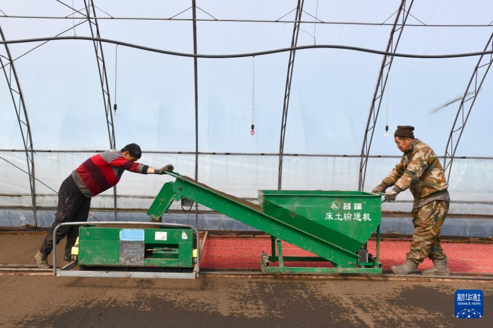 “北大仓”春耕春播忙 “北大仓”春耕春播忙