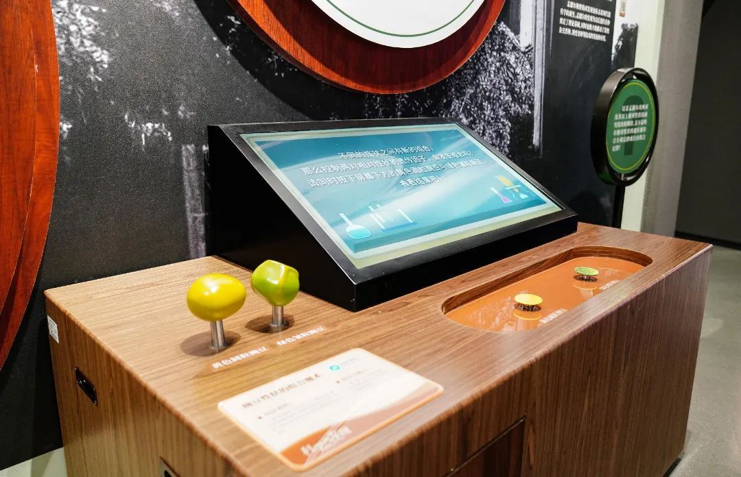 展项拾趣丨藏在豌豆里的“生命密码”，揭开遗传的神秘面纱