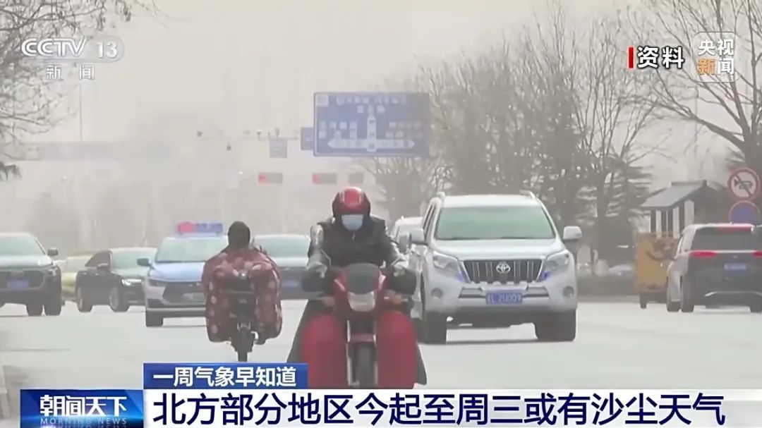 北方多地进入杨柳飞絮期，“过敏星人”请收好这份注意事项