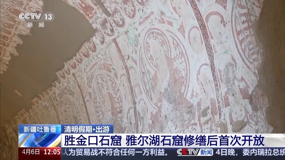 北上赏花 南下踏青 尽赏千里不同春 北上赏花 南下踏青 尽赏千里不同春