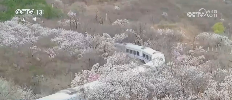乘列车一路繁花 坐邮轮跨越山海 “花样”文旅点燃春日消费活力