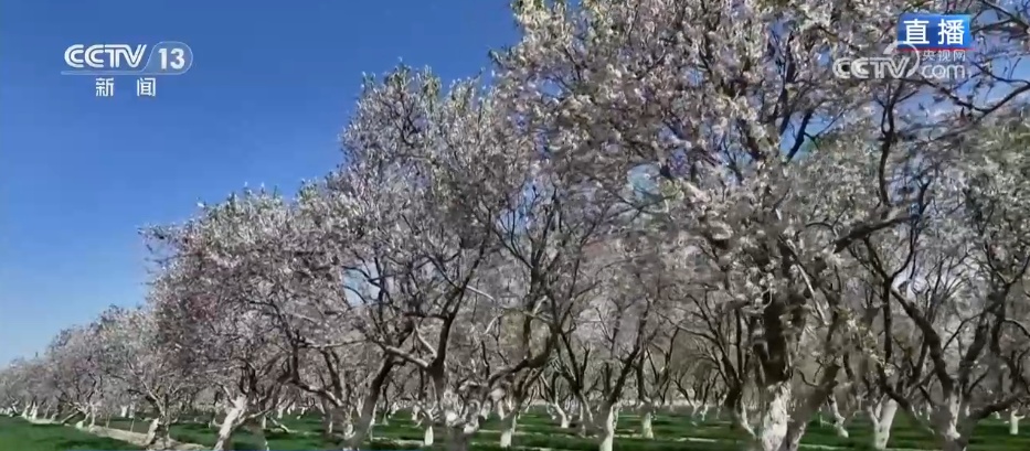 从“会种地”到“慧种地” 科技赋能农业生产“智慧升级”