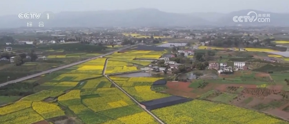 新场景、新玩法、新体验不断涌现 “假日经济”焕发新活力 新场景、新玩法、新体验不断涌现 “假日经济”焕发新活力