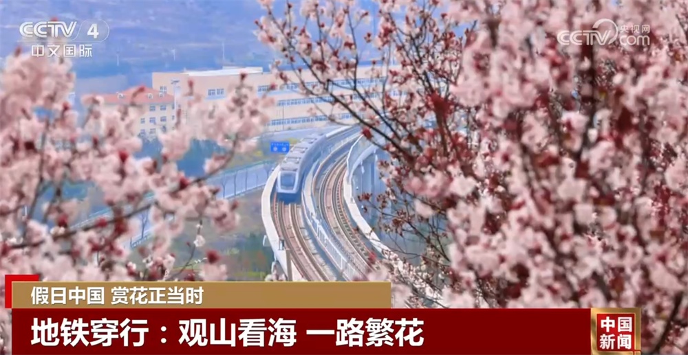 清明假期文旅融合“春”意盎然“新”意浓 消费市场活力足人气旺 清明假期文旅融合“春”意盎然“新”意浓 消费市场活力足人气旺